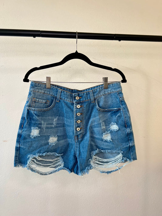 High Rise Distressed Denim Shorts